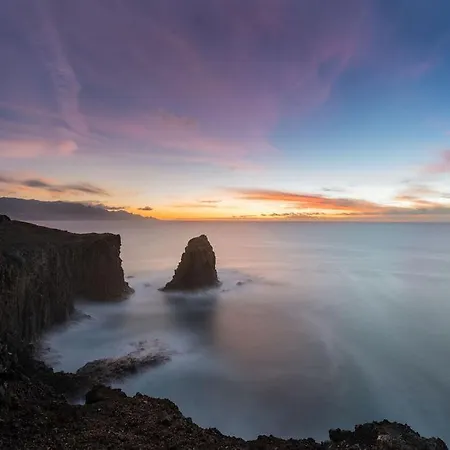 Palmengarten Molinos *