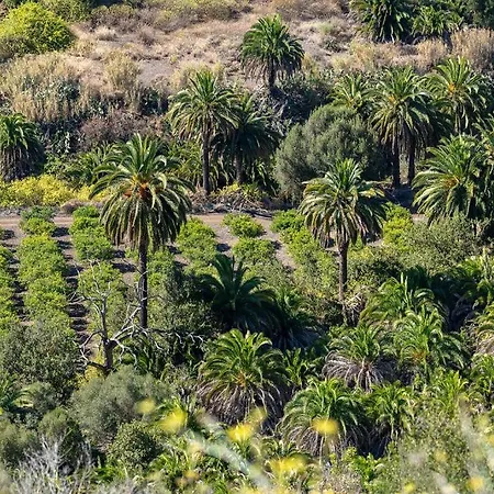 Appartamento Palmengarten Molinos